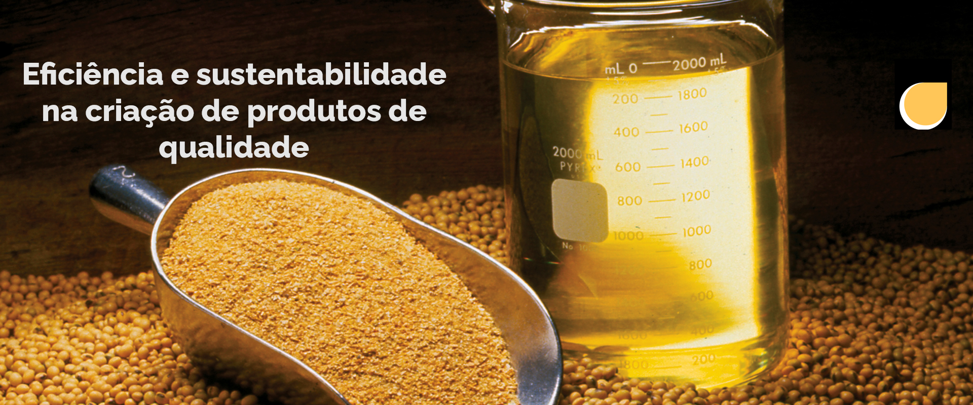 Instalações da fábrica Granosul